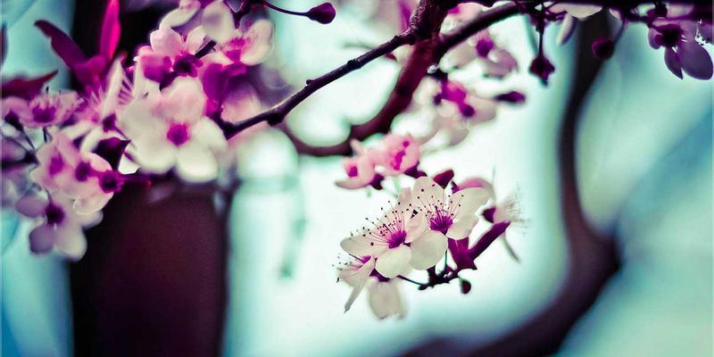 从药柜到云端：灵兰如何用数字化引擎，让千年中医药俘获年轻一代