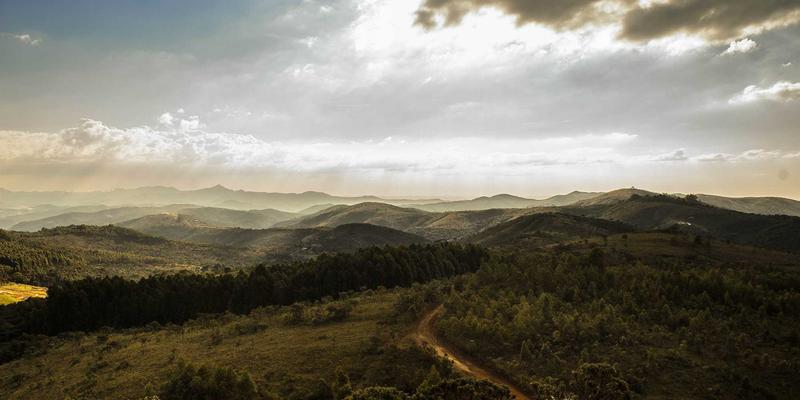 当千年中医智慧遇见现代科技：山东灵兰如何用软件开发重塑养生新体验