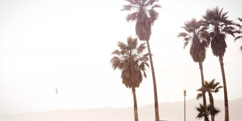 当千年岐黄术遇见现代网络科技:探秘山东灵兰中医馆的针灸推拿技术核心优势