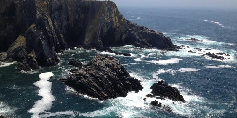 数字化传承:灵兰中医如何借力软件开发与网站建设,革新山东道地药材应用研究