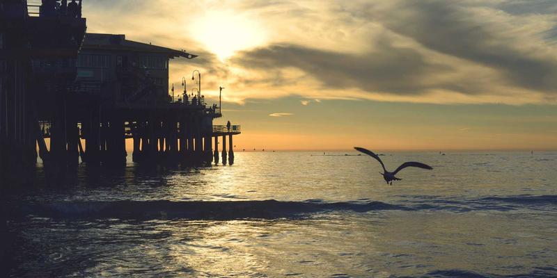 百年灵兰,数字新生:看山东灵兰中医馆如何借企业信息化与网站建设,传承岐黄薪火