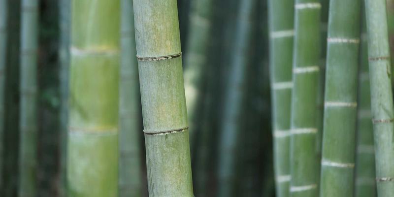 社区健康驿站+云端中医:灵兰如何用信息化构建“15分钟智慧中医服务圈”